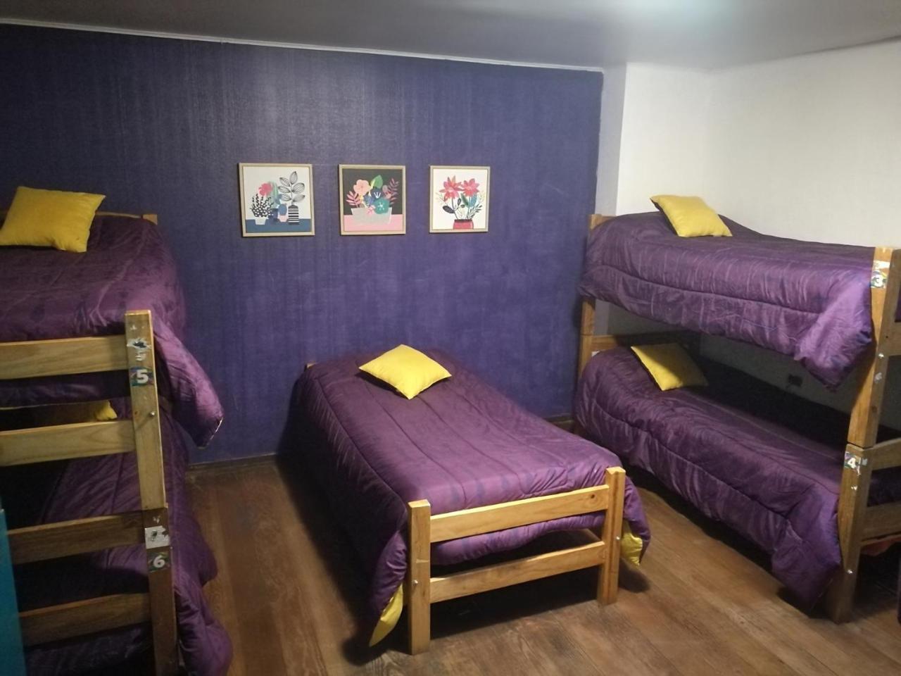 Columba Hostel Βίνα Ντελ Μαρ Εξωτερικό φωτογραφία